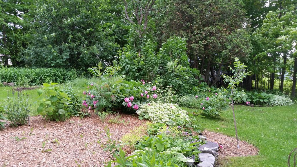 La Maison Ancestrale Guerard Saint-Laurent-de-l'ile d'Orleans 외부 사진
